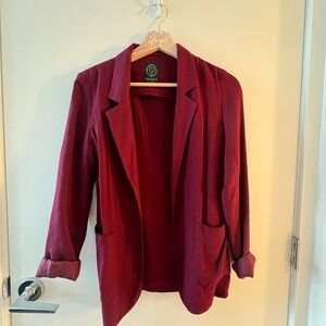 Aritzia Talula Kent Blazer